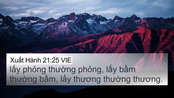 Xuất Hành 21:25 VIE 4K Wallpaper - lấy phỏng thường phỏng, lấy bầm - 4K Wallpaper Bible Verse