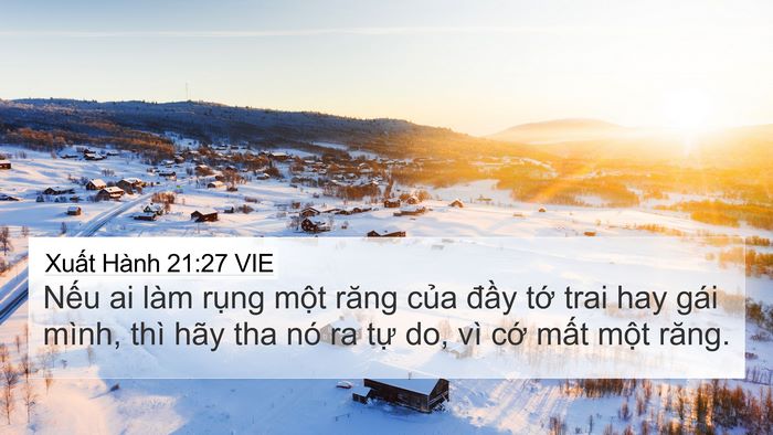 Xuất Hành 21:27 VIE 4K Wallpaper - Nếu ai làm rụng một răng của đầy - 4K Wallpaper Bible Verse