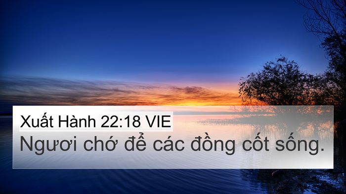 Xuất Hành 22:18 VIE Bible Verse Image