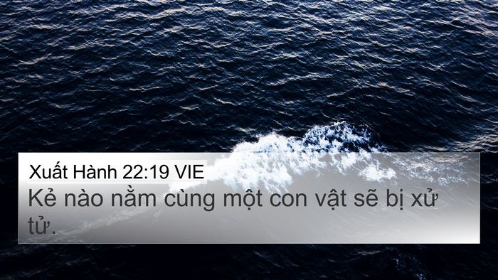 Xuất Hành 22:19 VIE Bible Verse Image