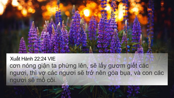 Xuất Hành 22:24 VIE Bible Verse Image