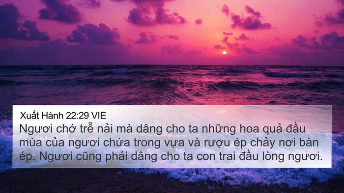 Xuất Hành 22:29 VIE Bible Verse Image