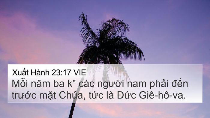 Xuất Hành 23:17 VIE Bible Verse Image