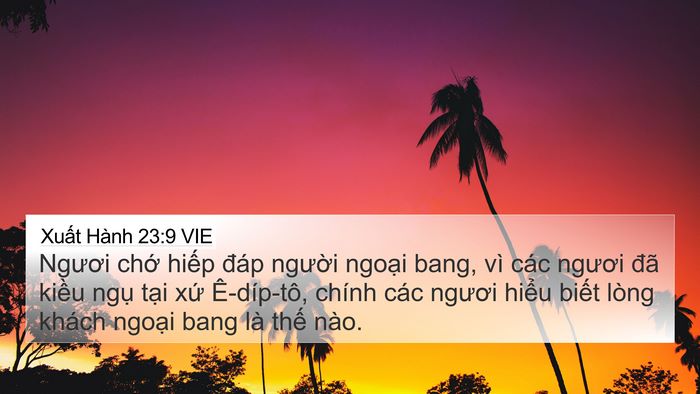 Xuất Hành 23:9 VIE Bible Verse Image