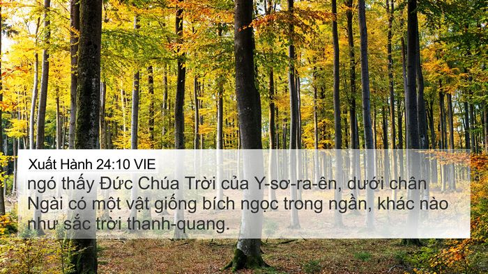 Xuất Hành 24:10 VIE Bible Verse Image