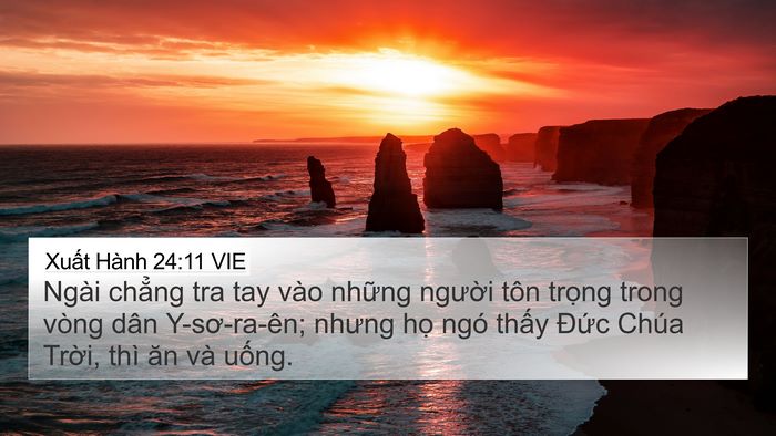 Xuất Hành 24:11 VIE Bible Verse Image