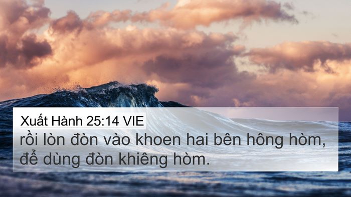 Xuất Hành 25:14 VIE Bible Verse Image
