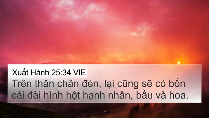 Xuất Hành 25:34 VIE 4K Wallpaper - Trên thân chân đèn, lại cũng sẽ có - 4K Wallpaper Bible Verse