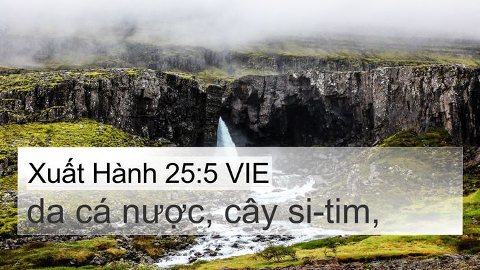 Xuất Hành 25:5 VIE Bible Verse Image