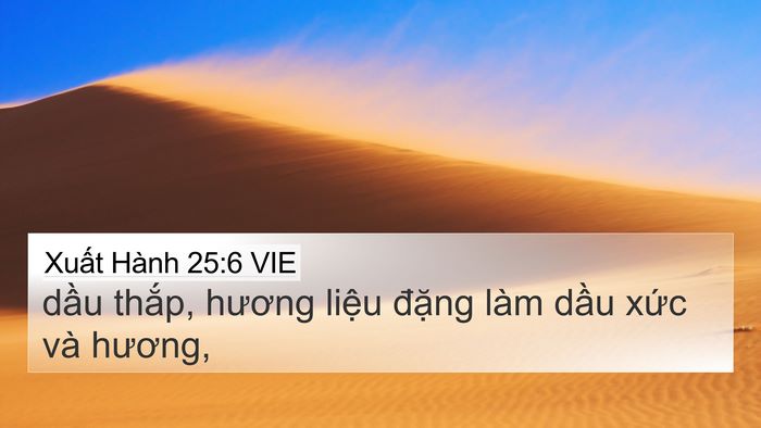 Xuất Hành 25:6 VIE Bible Verse Image