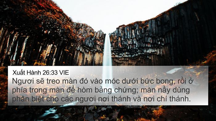 Xuất Hành 26:33 VIE Bible Verse Image