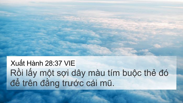 Xuất Hành 28:37 VIE Bible Verse Image