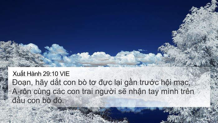 Xuất Hành 29:10 VIE Bible Verse Image