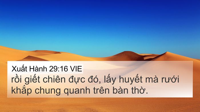 Xuất Hành 29:16 VIE Bible Verse Image