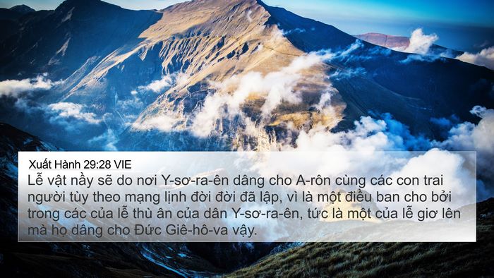 Xuất Hành 29:28 VIE Bible Verse Image