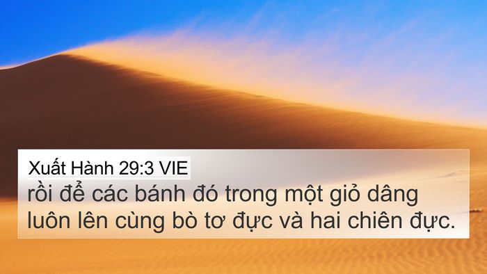 Xuất Hành 29:3 VIE 4K Wallpaper - rồi để các bánh đó trong một giỏ - 4K Wallpaper Bible Verse