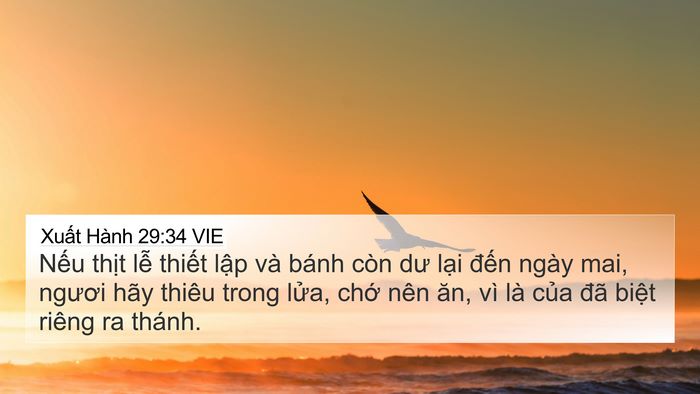 Xuất Hành 29:34 VIE Bible Verse Image