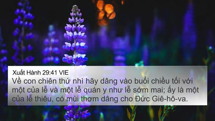 Xuất Hành 29:41 VIE Bible Verse Image