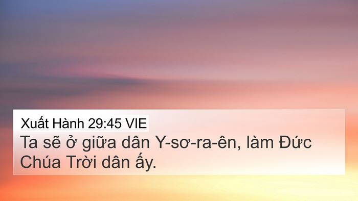 Xuất Hành 29:45 VIE Bible Verse Image