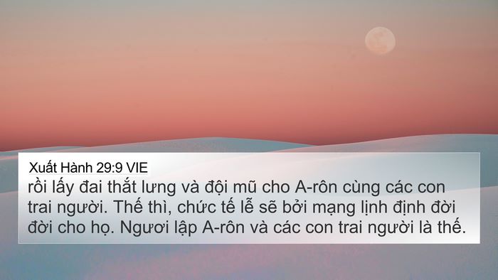 Xuất Hành 29:9 VIE Bible Verse Image