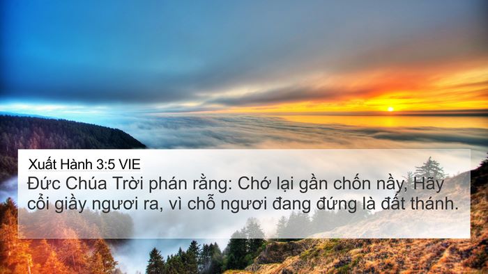 Xuất Hành 3:5 VIE Bible Verse Image