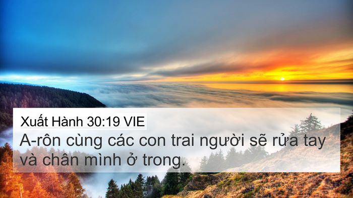 Xuất Hành 30:19 VIE Bible Verse Image