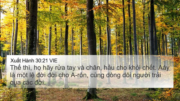 Xuất Hành 30:21 VIE 4K Wallpaper - Thế thì, họ hãy rửa tay và chân, hầu - 4K Wallpaper Bible Verse