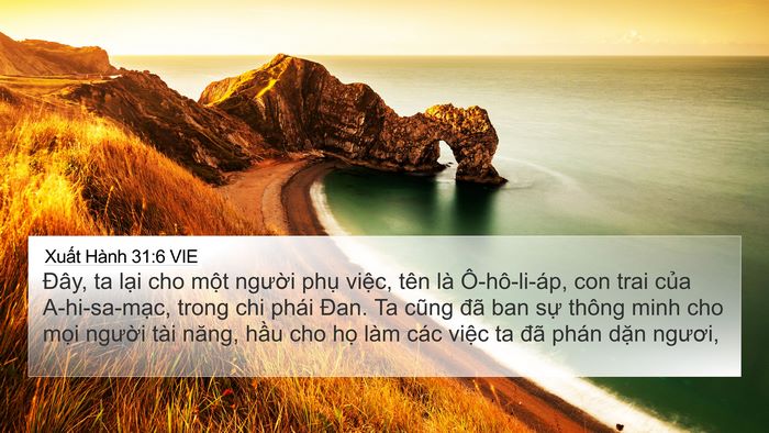Xuất Hành 31:6 VIE Bible Verse Image
