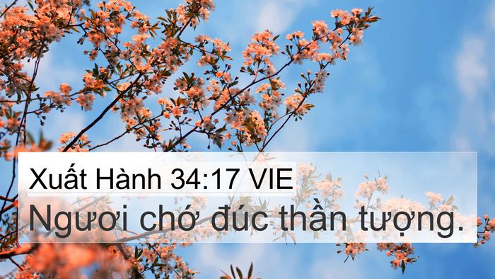 Xuất Hành 34:17 VIE Bible Verse Image