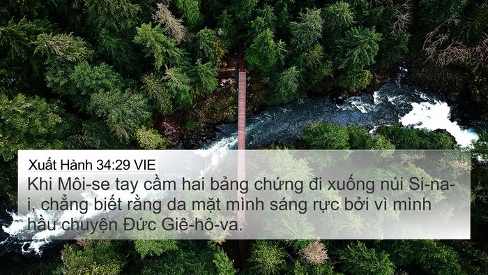 Xuất Hành 34:29 VIE Bible Verse Image