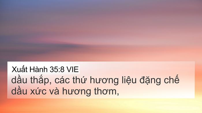 Xuất Hành 35:8 VIE Bible Verse Image
