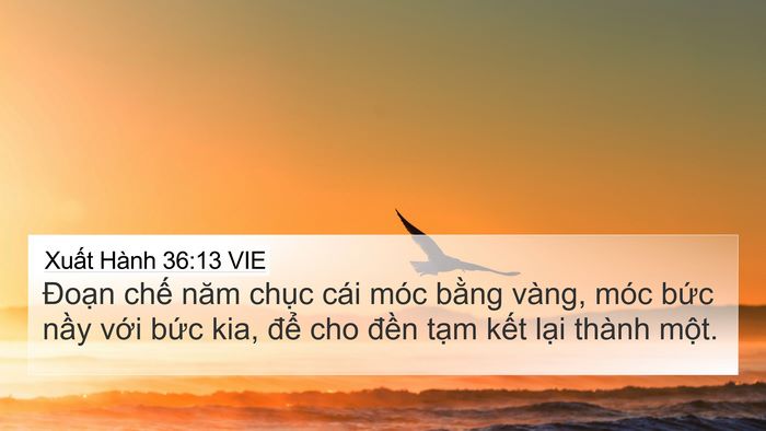 Xuất Hành 36:13 VIE Bible Verse Image