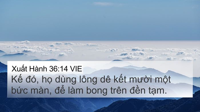 Xuất Hành 36:14 VIE Bible Verse Image