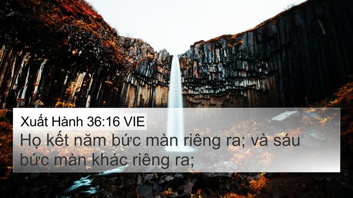 Xuất Hành 36:16 VIE 4K Wallpaper - Họ kết năm bức màn riêng ra; và sáu - 4K Wallpaper Bible Verse