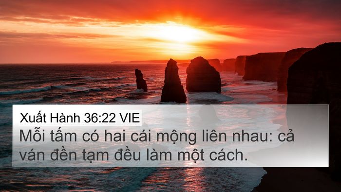 Xuất Hành 36:22 VIE Bible Verse Image