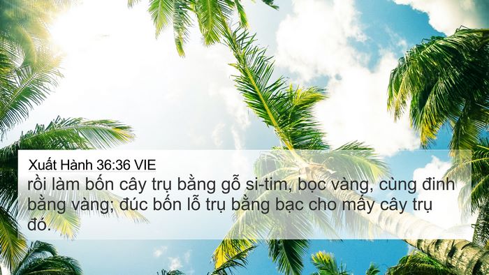 Xuất Hành 36:36 VIE Bible Verse Image