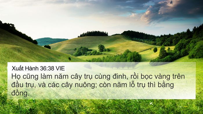 Xuất Hành 36:38 VIE Bible Verse Image