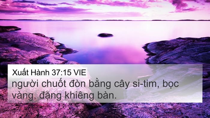 Xuất Hành 37:15 VIE 4K Wallpaper - người chuốt đòn bằng cây si-tim, bọc - 4K Wallpaper Bible Verse
