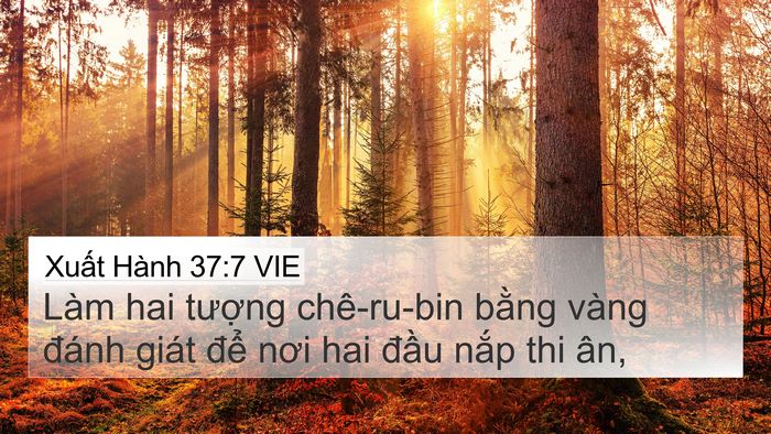 Xuất Hành 37:7 VIE Bible Verse Image