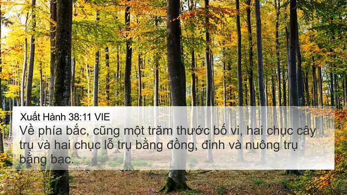 Xuất Hành 38:11 VIE 4K Wallpaper - Về phía bắc, cũng một trăm thước bố - 4K Wallpaper Bible Verse