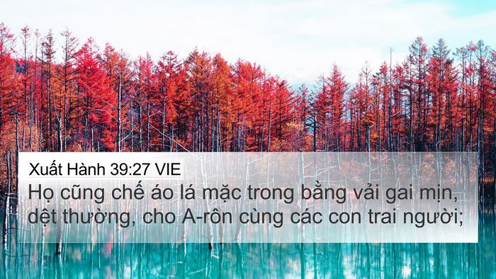 Xuất Hành 39:27 VIE Bible Verse Image