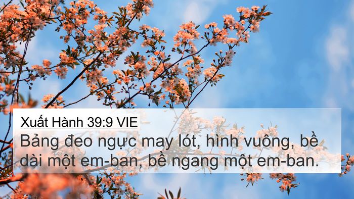 Xuất Hành 39:9 VIE 4K Wallpaper - Bảng đeo ngực may lót, hình vuông, bề - 4K Wallpaper Bible Verse