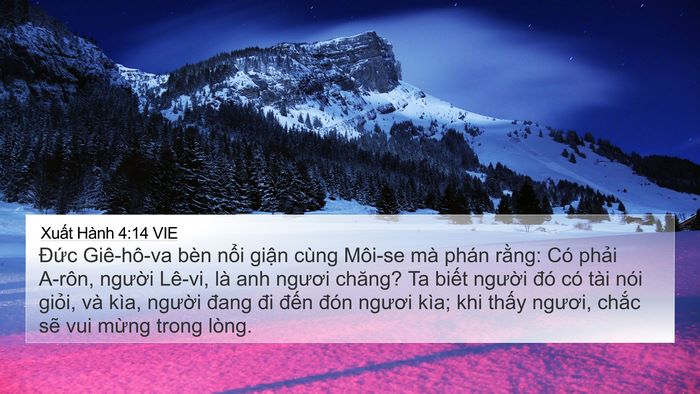 Xuất Hành 4:14 VIE Bible Verse Image