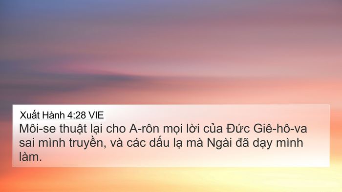 Xuất Hành 4:28 VIE 4K Wallpaper - Môi-se thuật lại cho A-rôn mọi lời - 4K Wallpaper Bible Verse