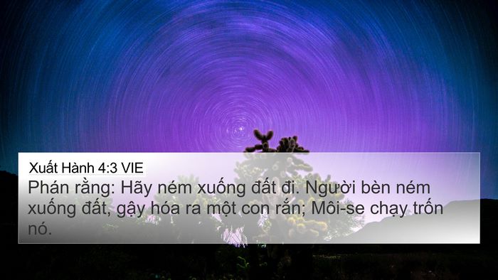 Xuất Hành 4:3 VIE Bible Verse Image