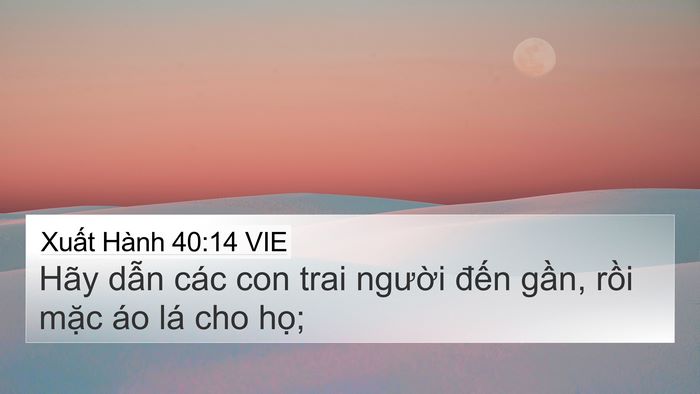 Xuất Hành 40:14 VIE Bible Verse Image