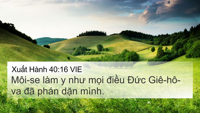 Xuất Hành 40:16 VIE Bible Verse Image