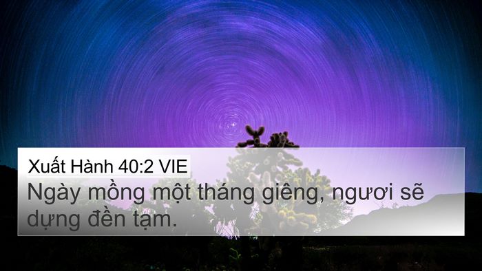 Xuất Hành 40:2 VIE Bible Verse Image