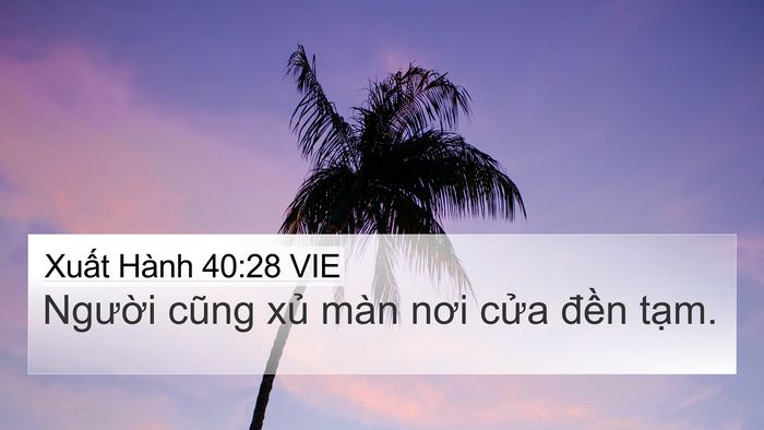Xuất Hành 40:28 VIE Bible Verse Image