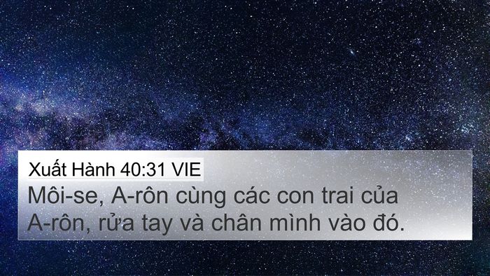 Xuất Hành 40:31 VIE 4K Wallpaper - Môi-se, A-rôn cùng các con trai của A-rôn, - 4K Wallpaper Bible Verse